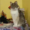 Отзыв от Екатерина Русанова